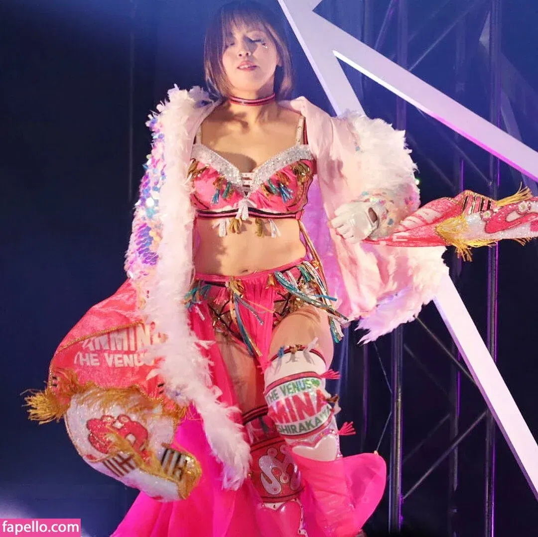 Mina Shirakawa Onlyfans Photo Gallery 