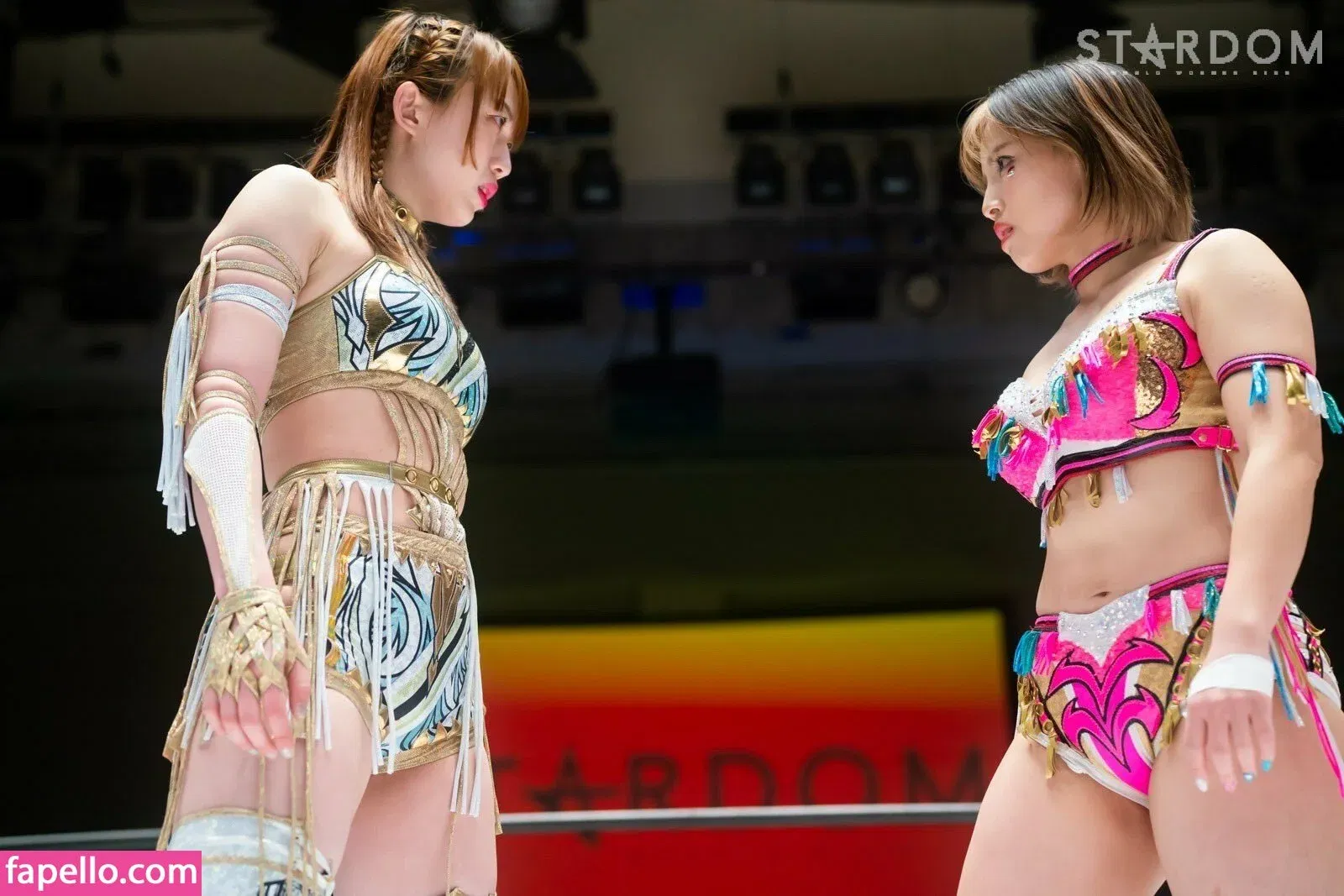 Mina Shirakawa Onlyfans Photo Gallery 