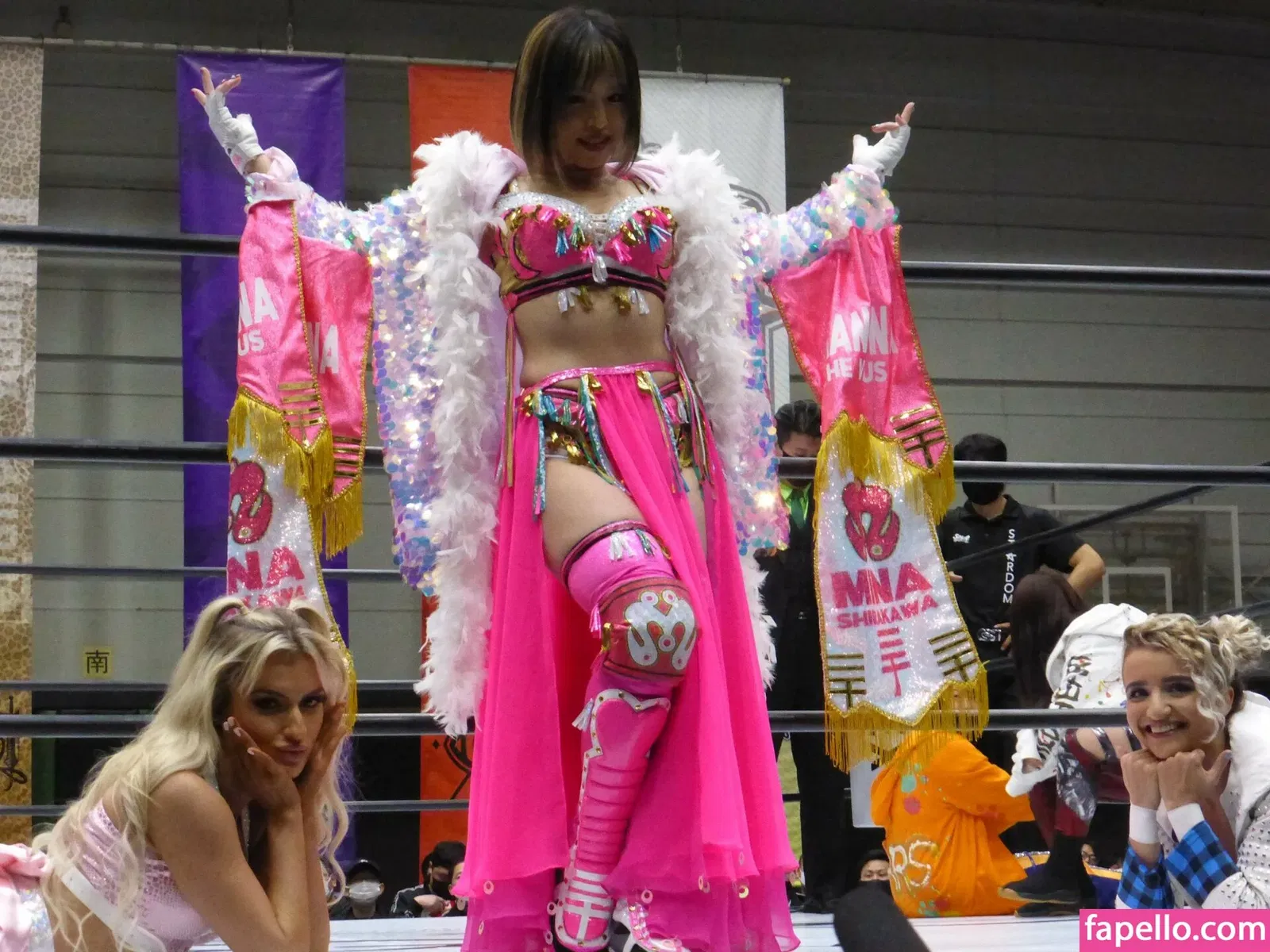 Mina Shirakawa Onlyfans Photo Gallery 