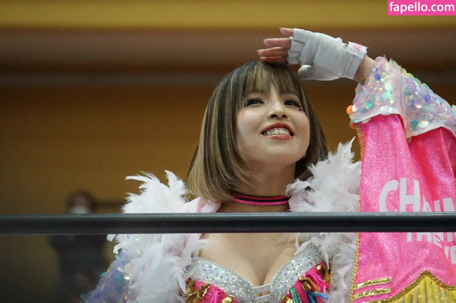 Mina Shirakawa Onlyfans Photo Gallery 