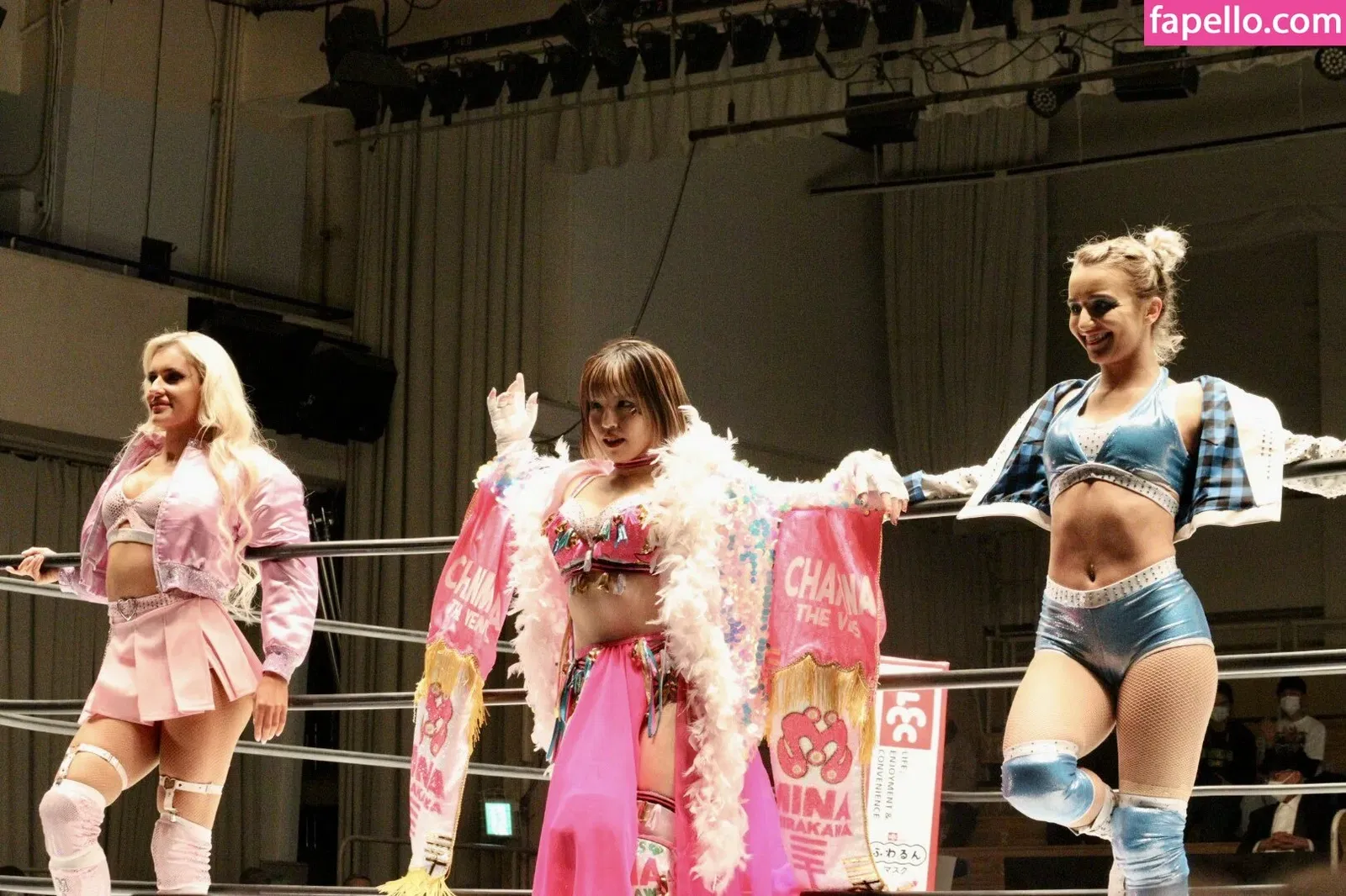 Mina Shirakawa Onlyfans Photo Gallery 