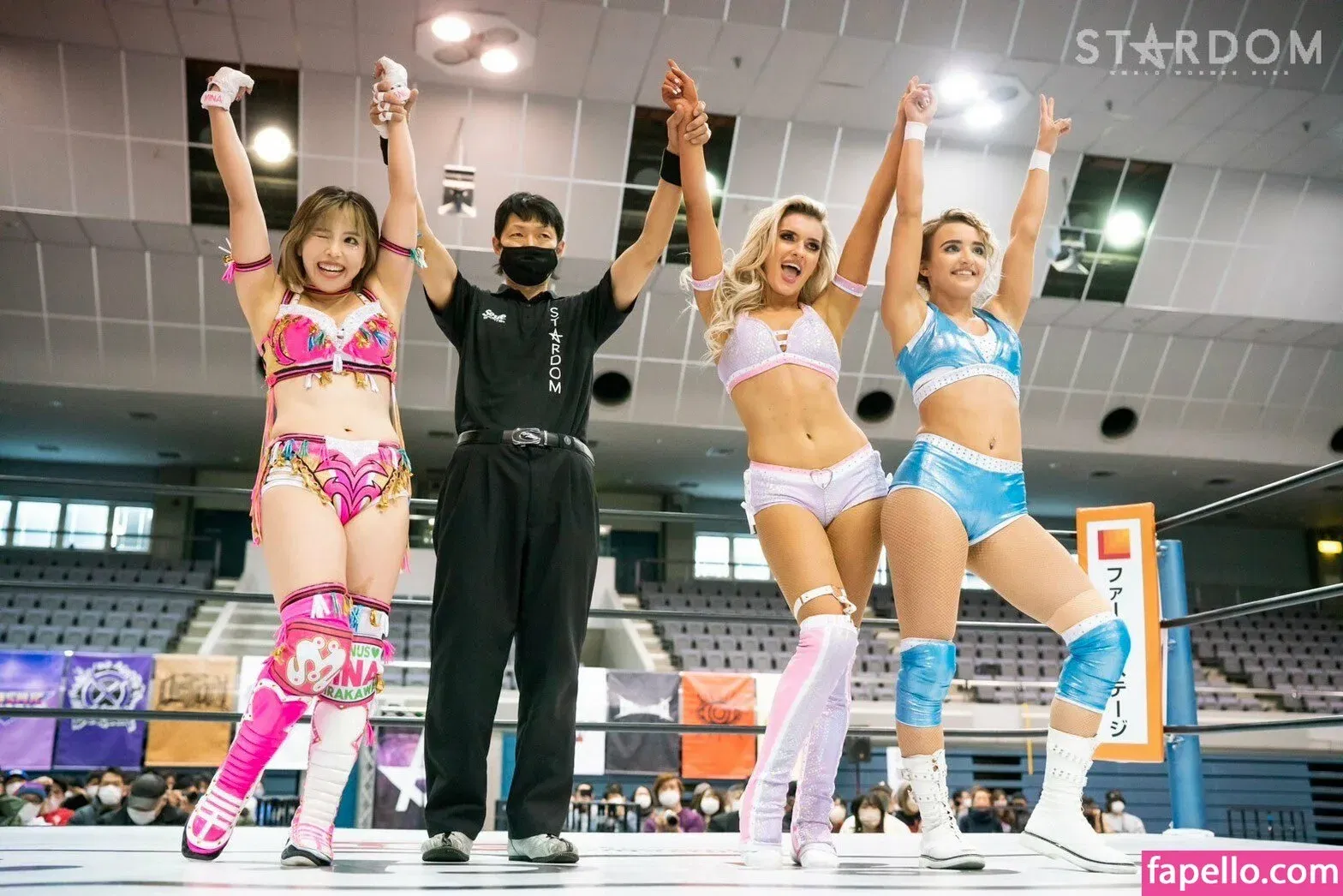 Mina Shirakawa Onlyfans Photo Gallery 