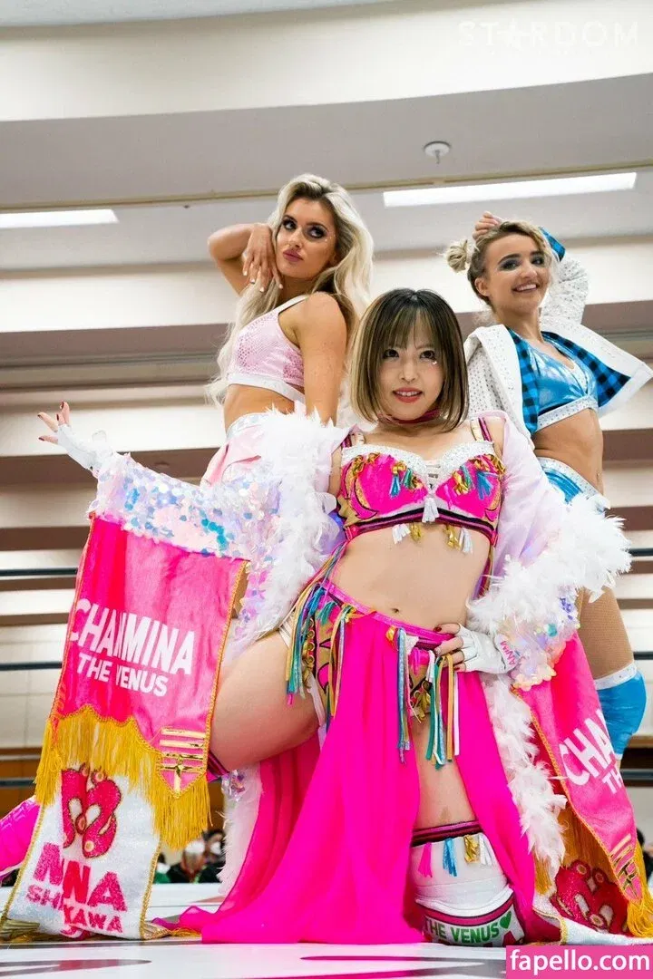 Mina Shirakawa Onlyfans Photo Gallery 