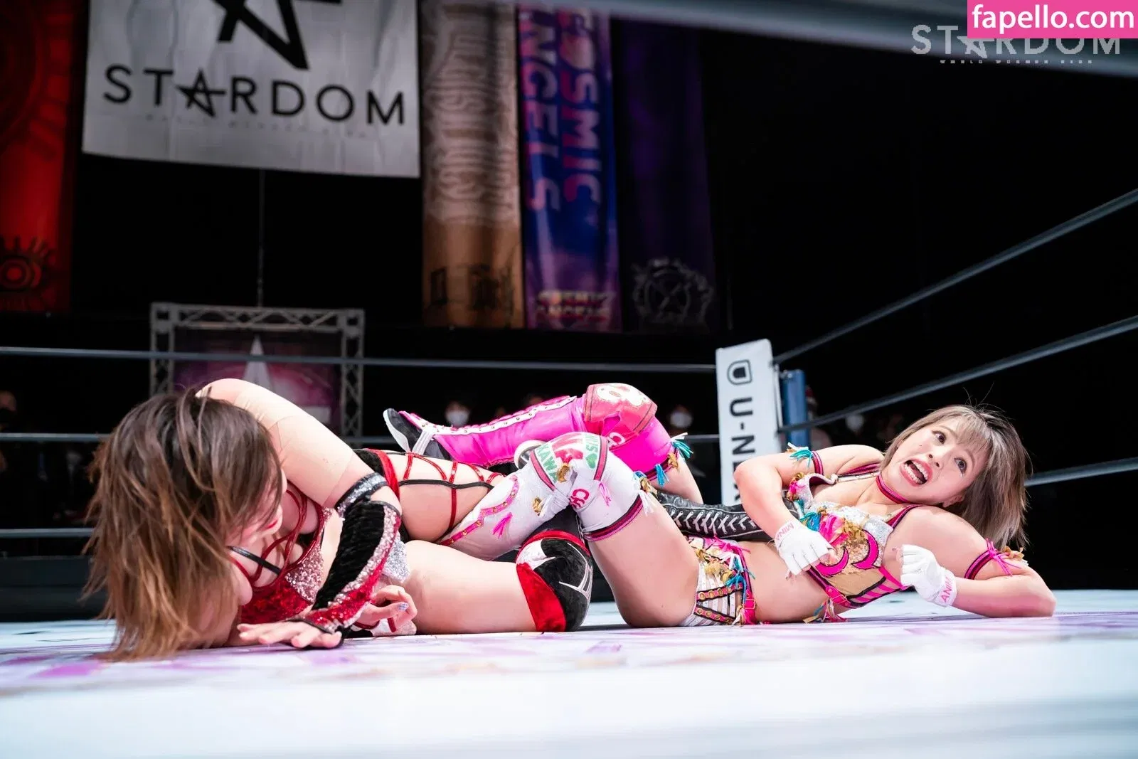 Mina Shirakawa Onlyfans Photo Gallery 