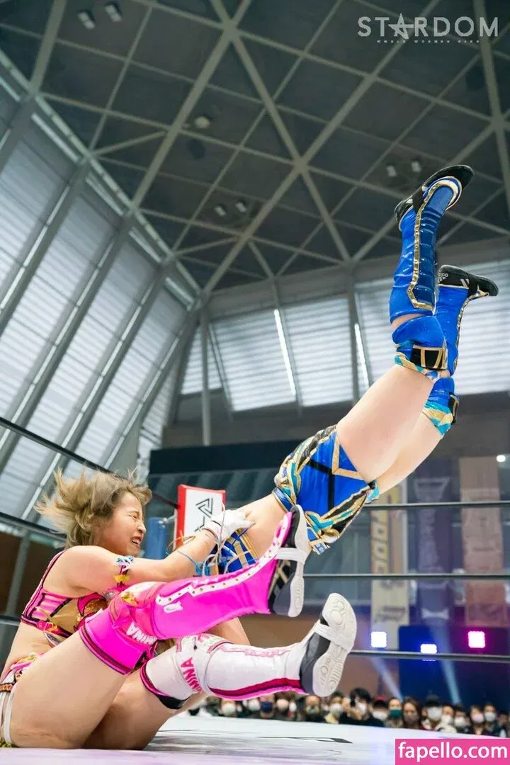 Mina Shirakawa Onlyfans Photo Gallery 