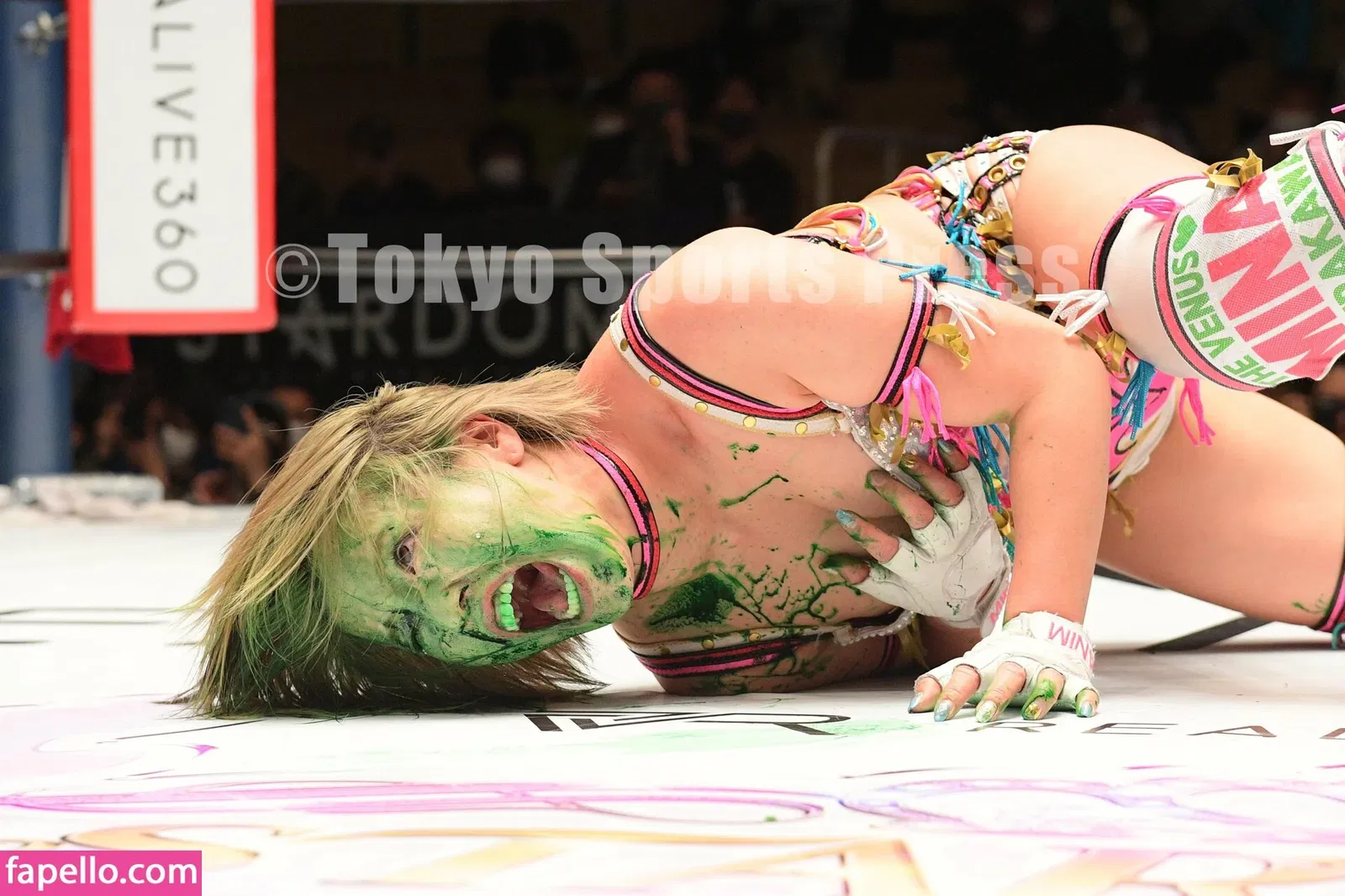 Mina Shirakawa Onlyfans Photo Gallery 