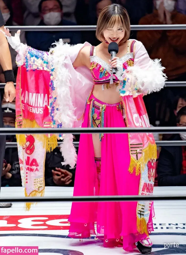 Mina Shirakawa Onlyfans Photo Gallery 