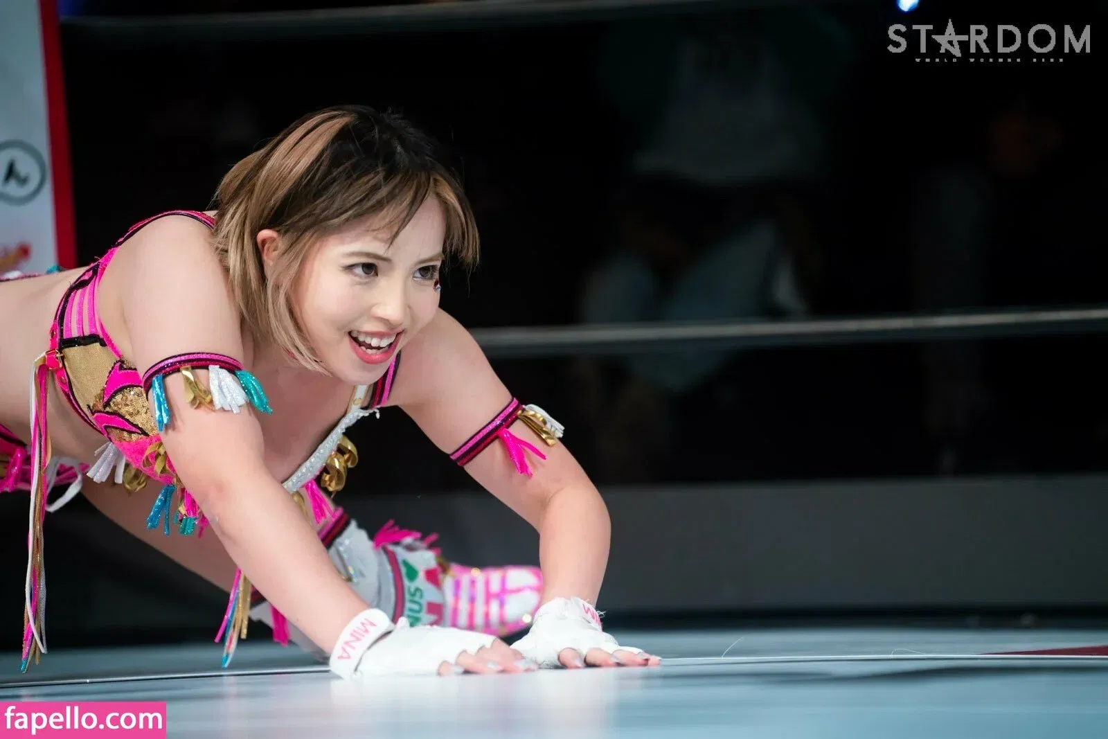 Mina Shirakawa Onlyfans Photo Gallery 