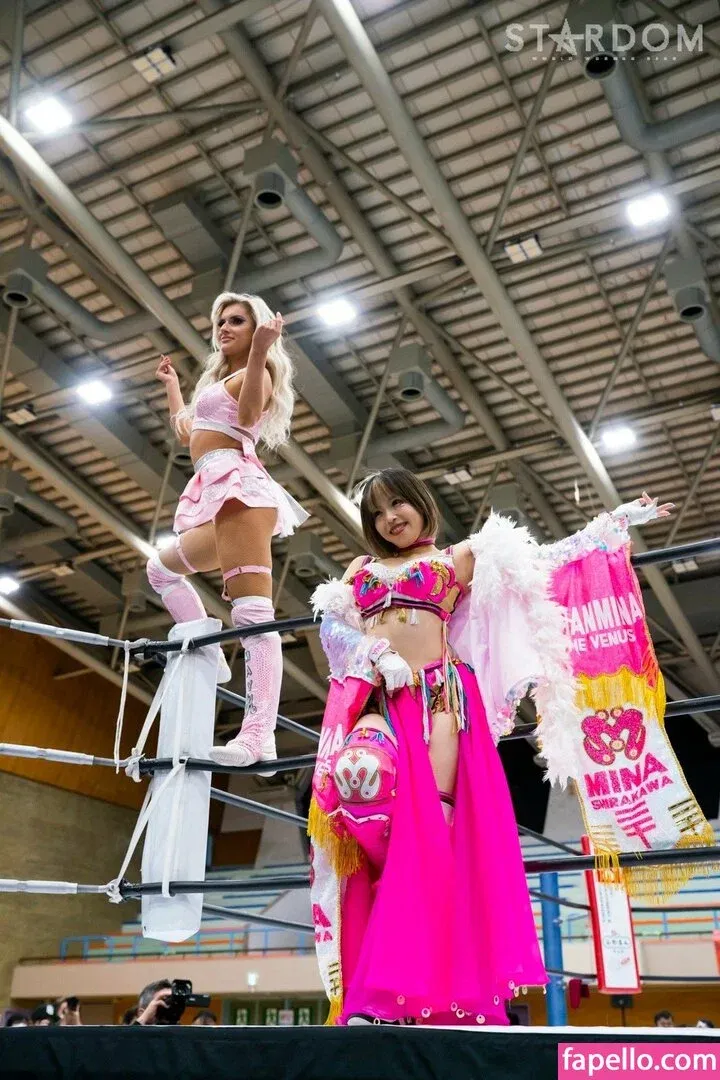 Mina Shirakawa Onlyfans Photo Gallery 