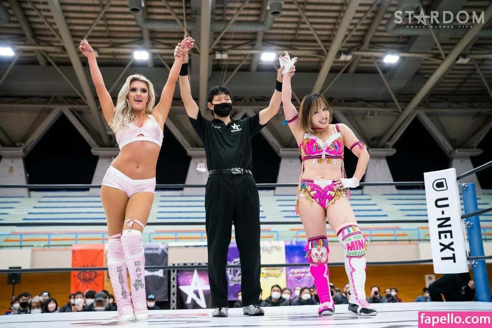 Mina Shirakawa Onlyfans Photo Gallery 