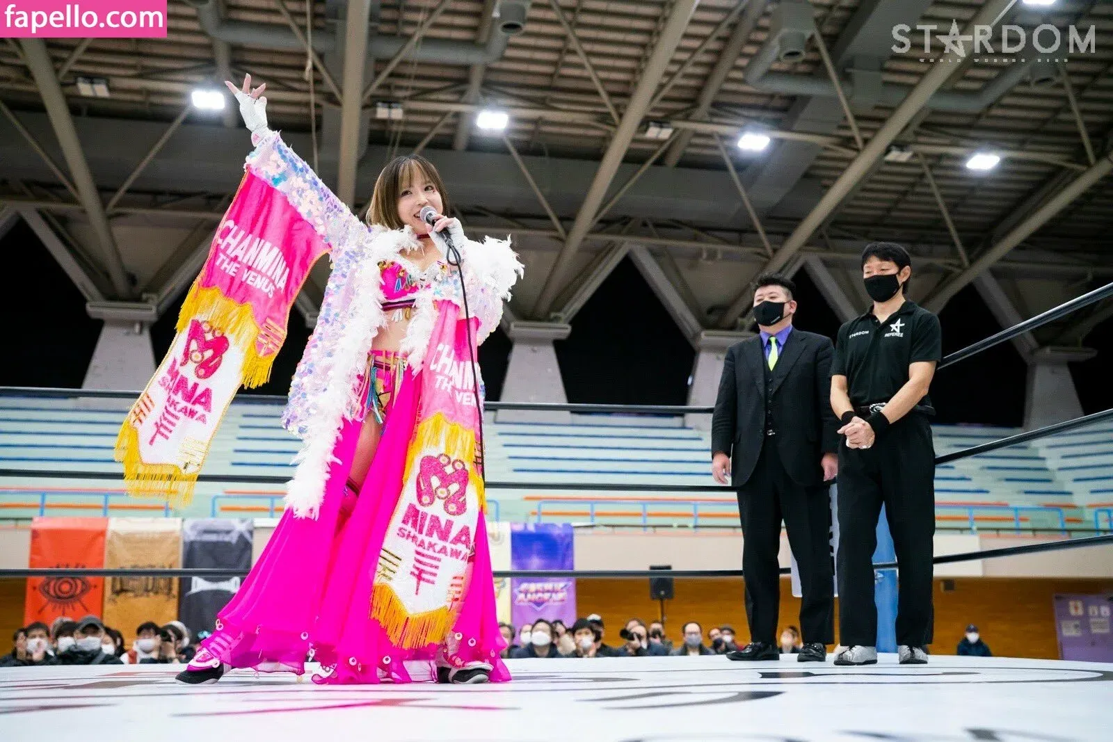 Mina Shirakawa Onlyfans Photo Gallery 