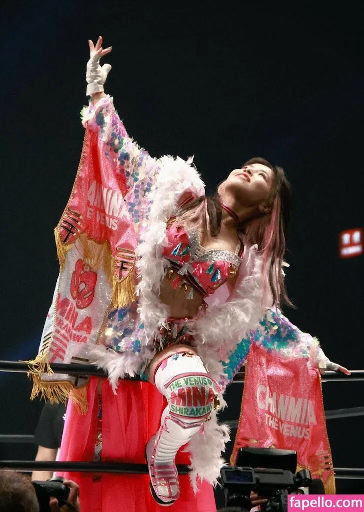 Mina Shirakawa Onlyfans Photo Gallery 