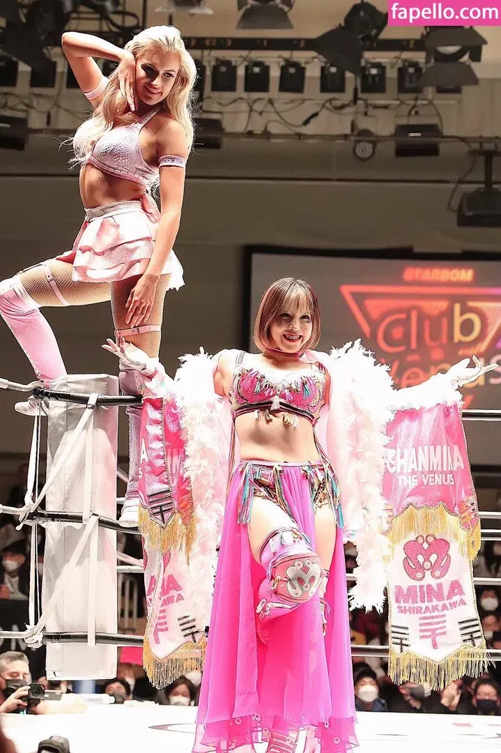 Mina Shirakawa Onlyfans Photo Gallery 