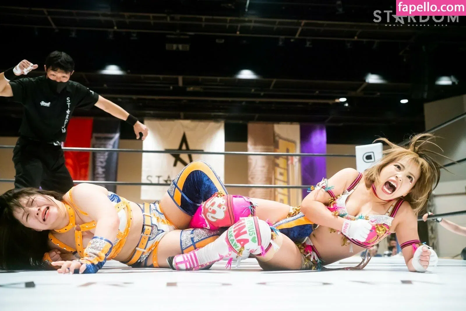 Mina Shirakawa Onlyfans Photo Gallery 