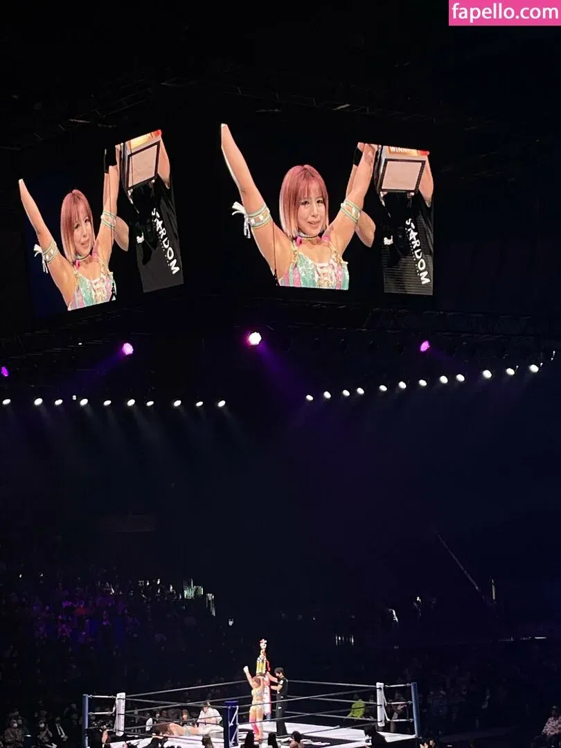 Mina Shirakawa Onlyfans Photo Gallery 