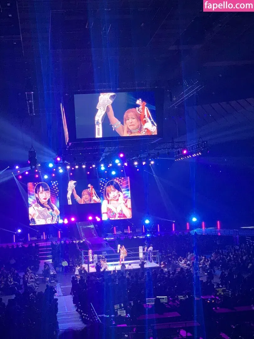 Mina Shirakawa Onlyfans Photo Gallery 