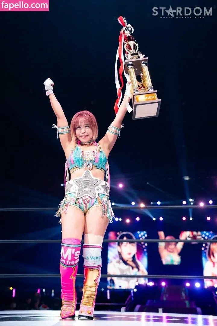 Mina Shirakawa Onlyfans Photo Gallery 