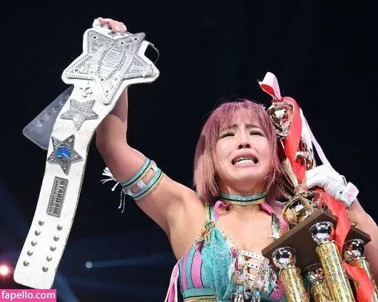 Mina Shirakawa Onlyfans Photo Gallery 