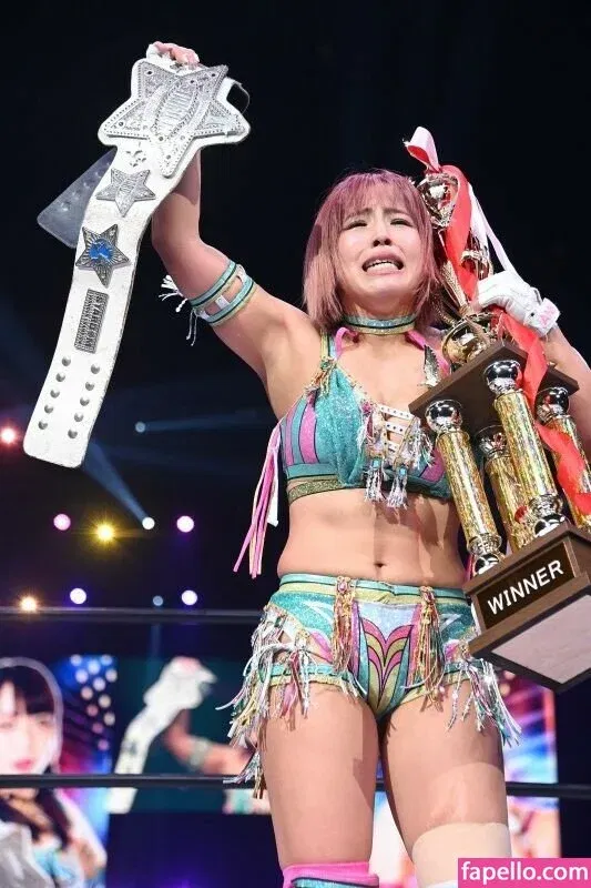 Mina Shirakawa Onlyfans Photo Gallery 