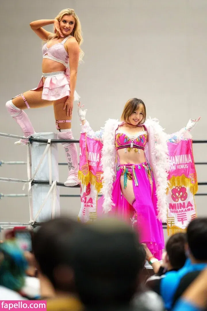 Mina Shirakawa Onlyfans Photo Gallery 