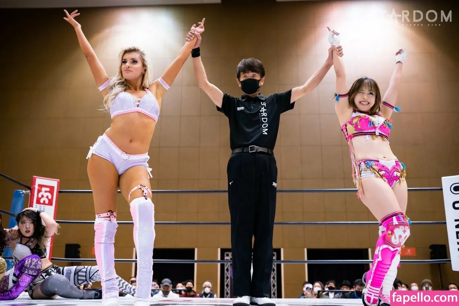 Mina Shirakawa Onlyfans Photo Gallery 