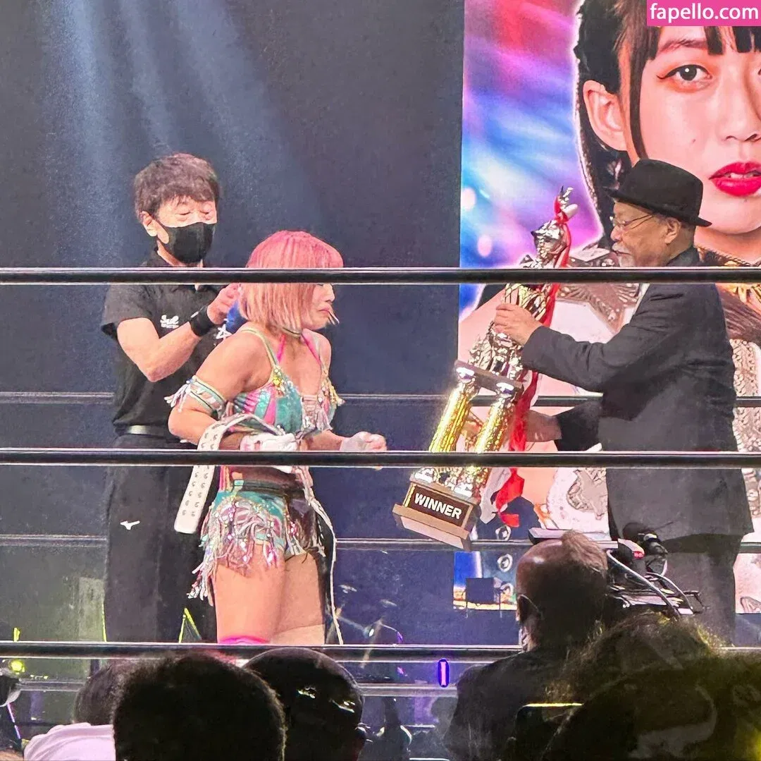 Mina Shirakawa Onlyfans Photo Gallery 