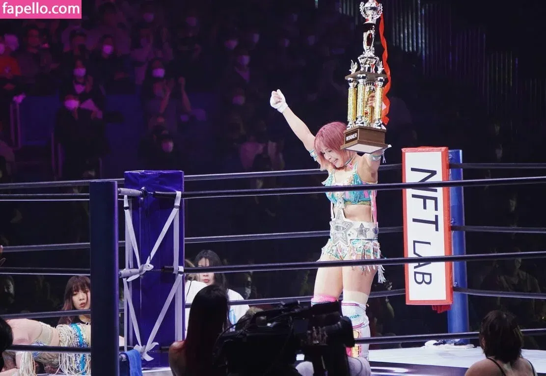 Mina Shirakawa Onlyfans Photo Gallery 