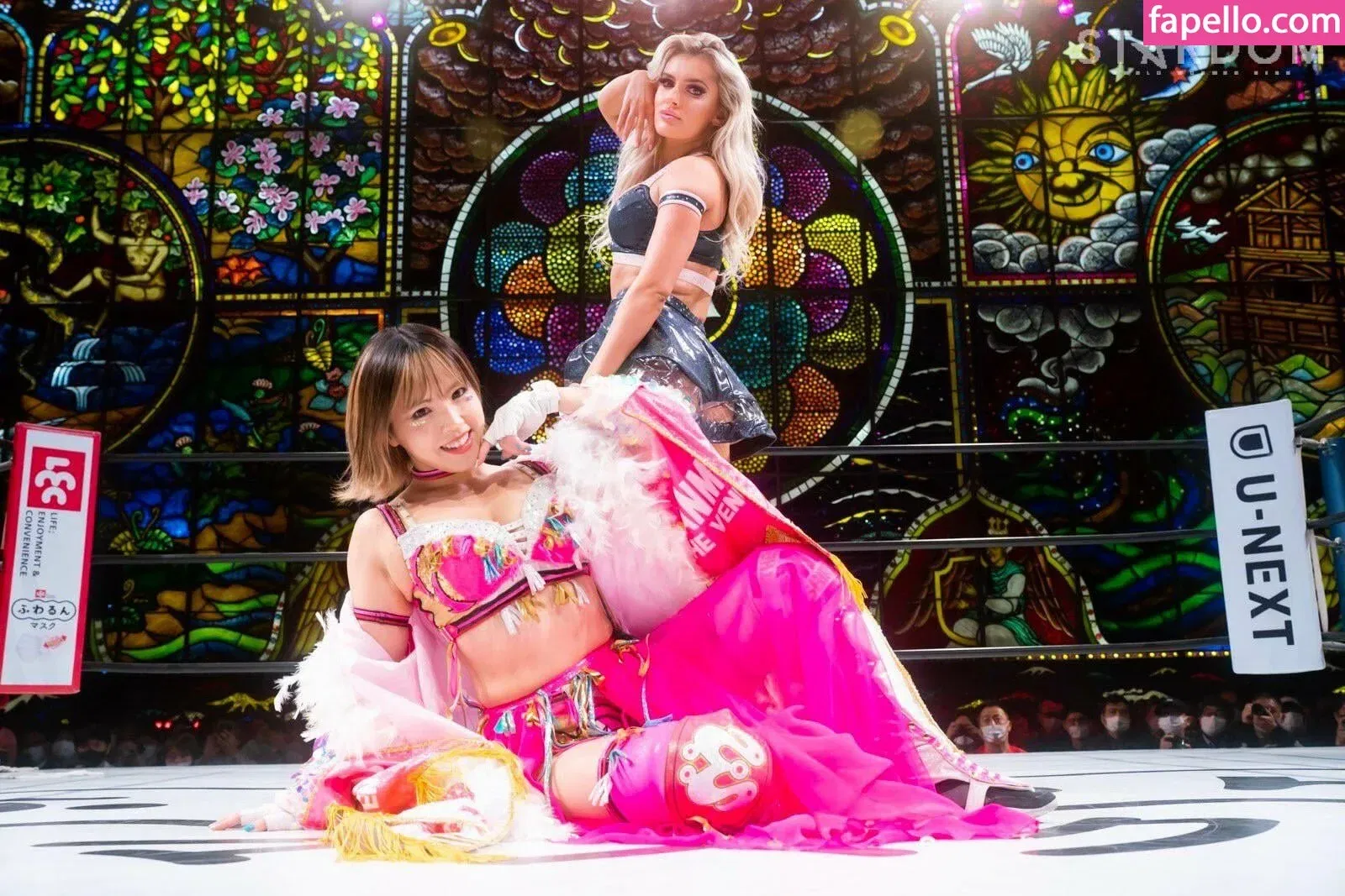 Mina Shirakawa Onlyfans Photo Gallery 