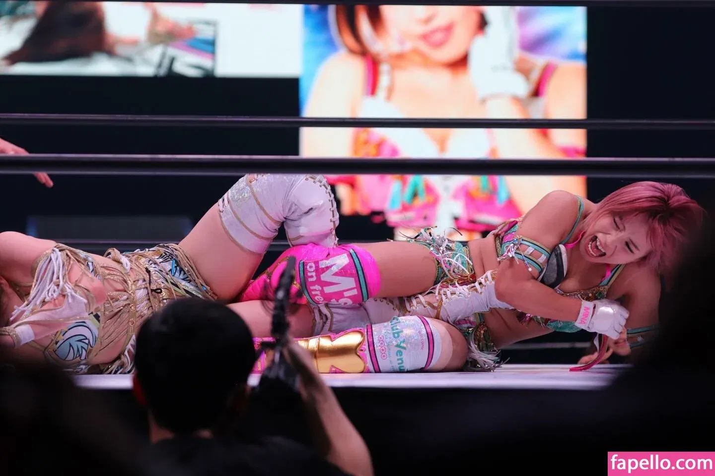 Mina Shirakawa Onlyfans Photo Gallery 