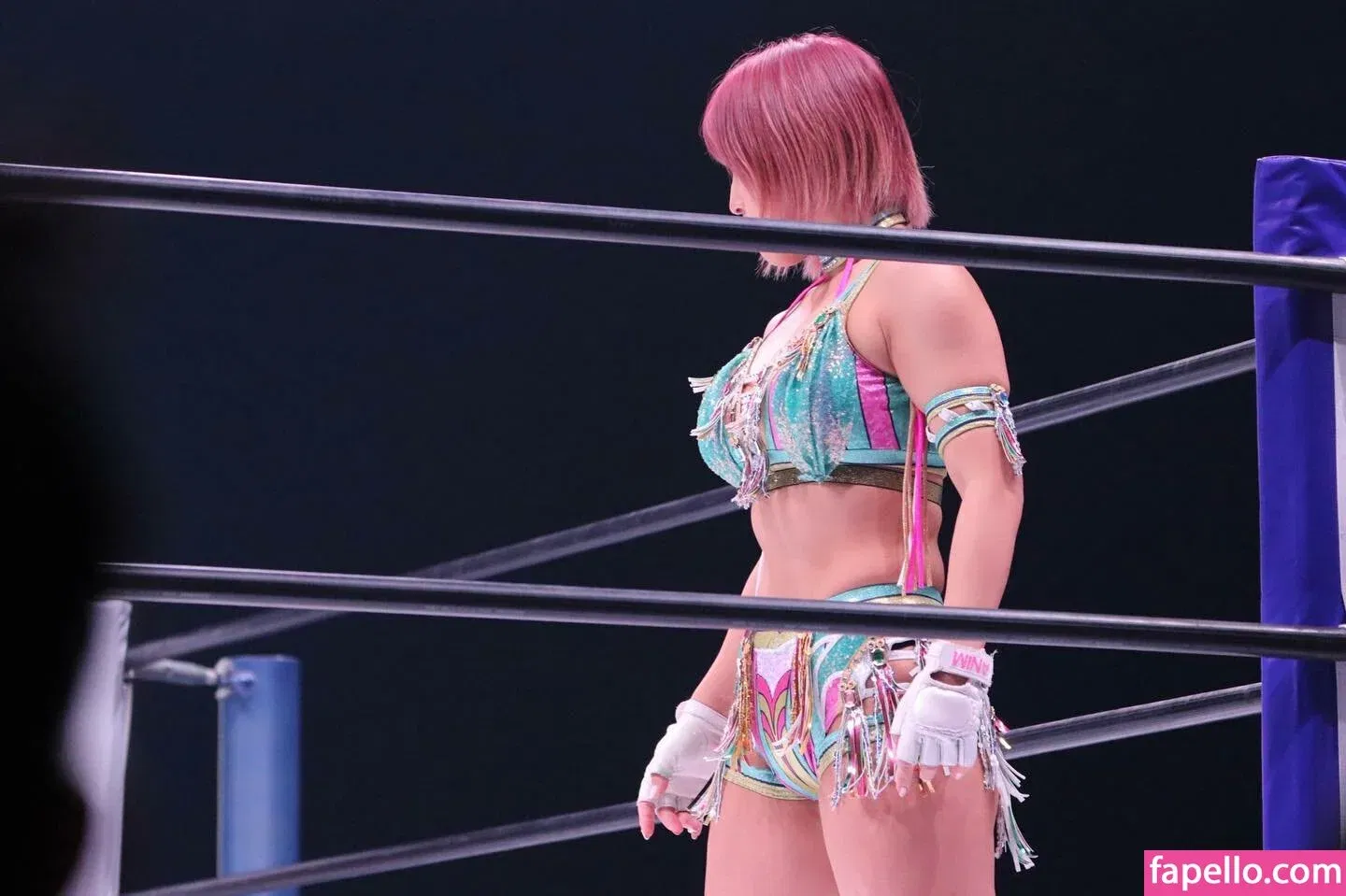 Mina Shirakawa Onlyfans Photo Gallery 