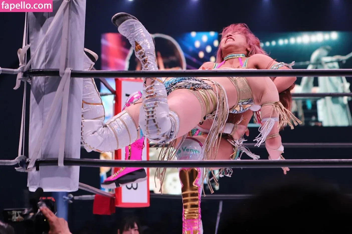 Mina Shirakawa Onlyfans Photo Gallery 