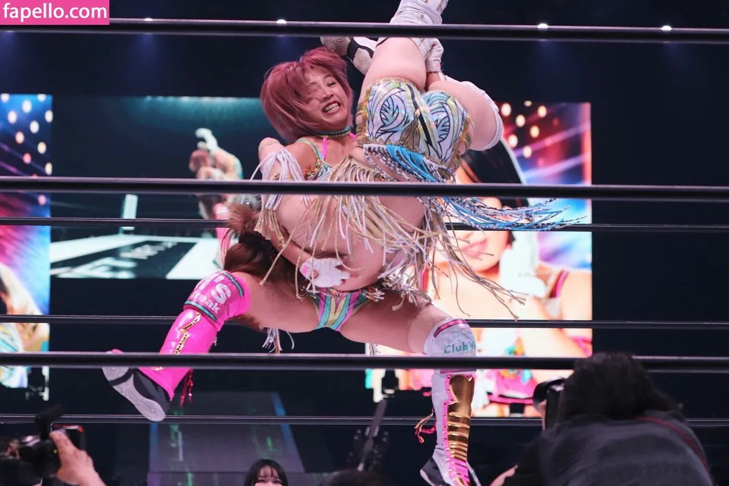 Mina Shirakawa Onlyfans Photo Gallery 