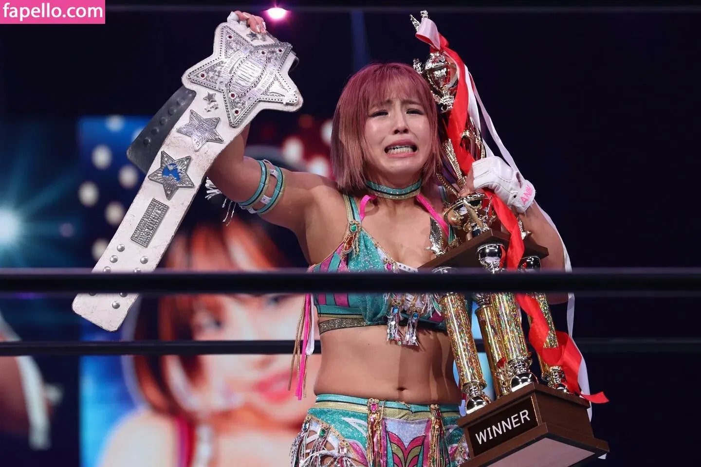 Mina Shirakawa Onlyfans Photo Gallery 