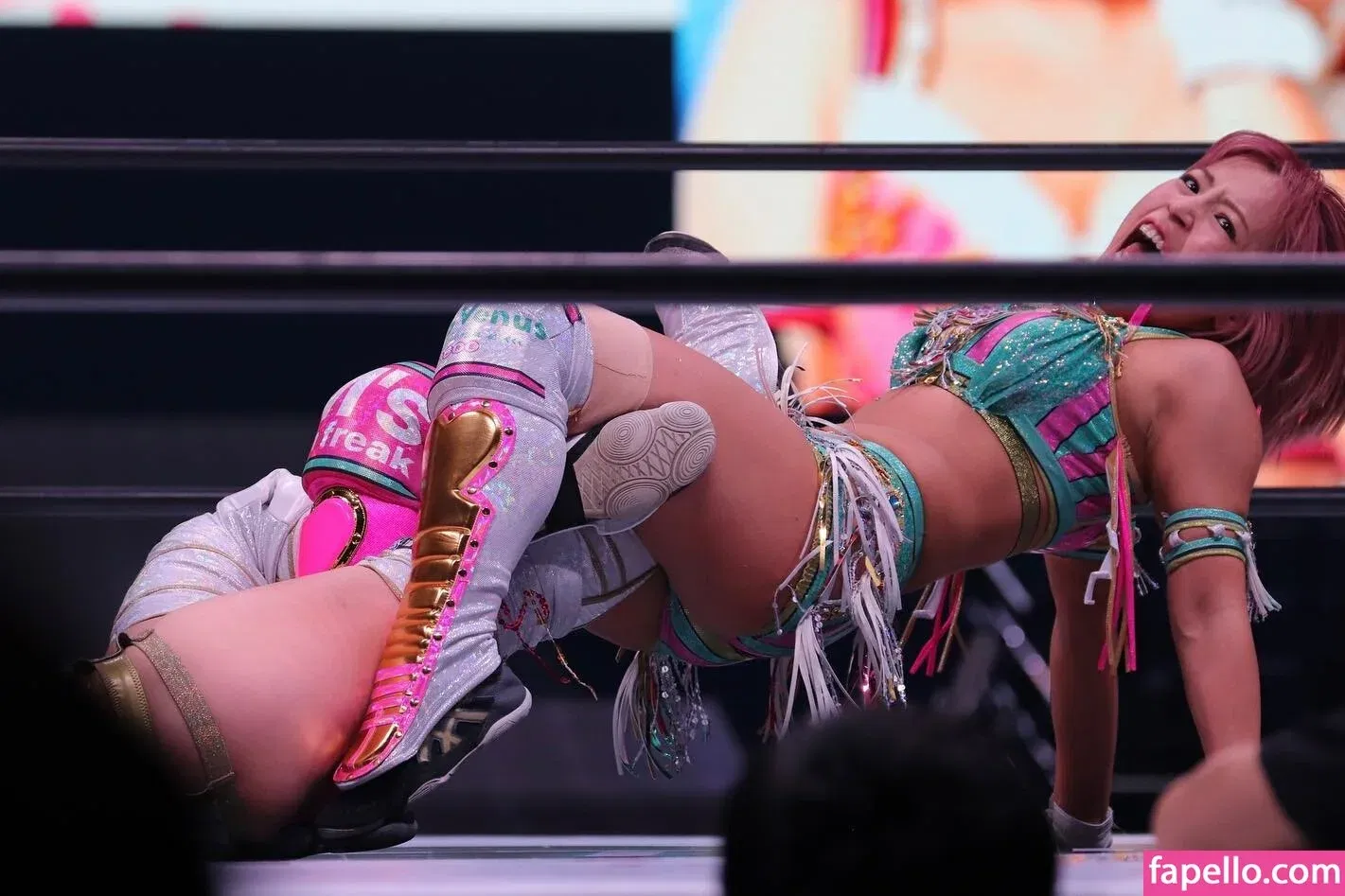 Mina Shirakawa Onlyfans Photo Gallery 