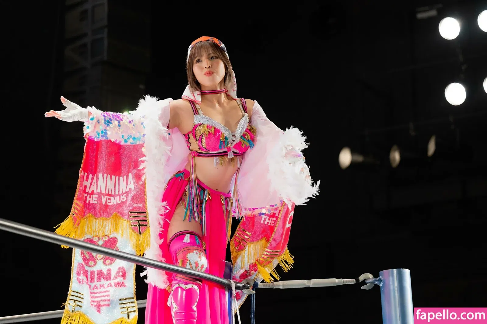 Mina Shirakawa Onlyfans Photo Gallery 