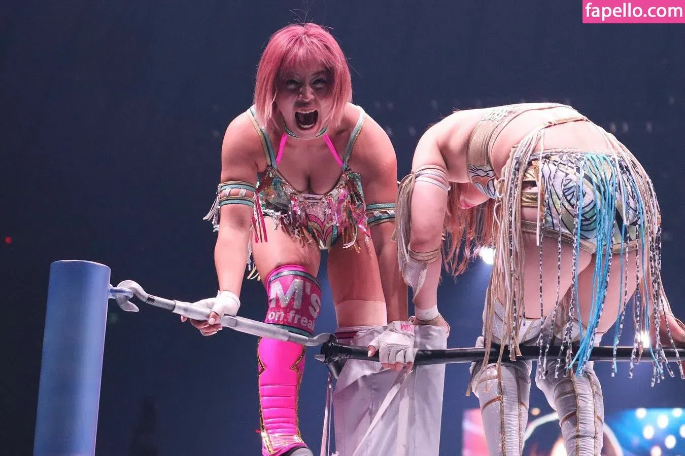 Mina Shirakawa Onlyfans Photo Gallery 