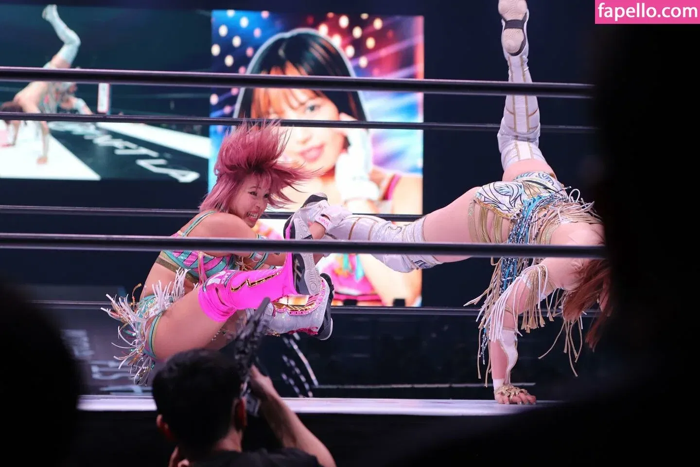 Mina Shirakawa Onlyfans Photo Gallery 