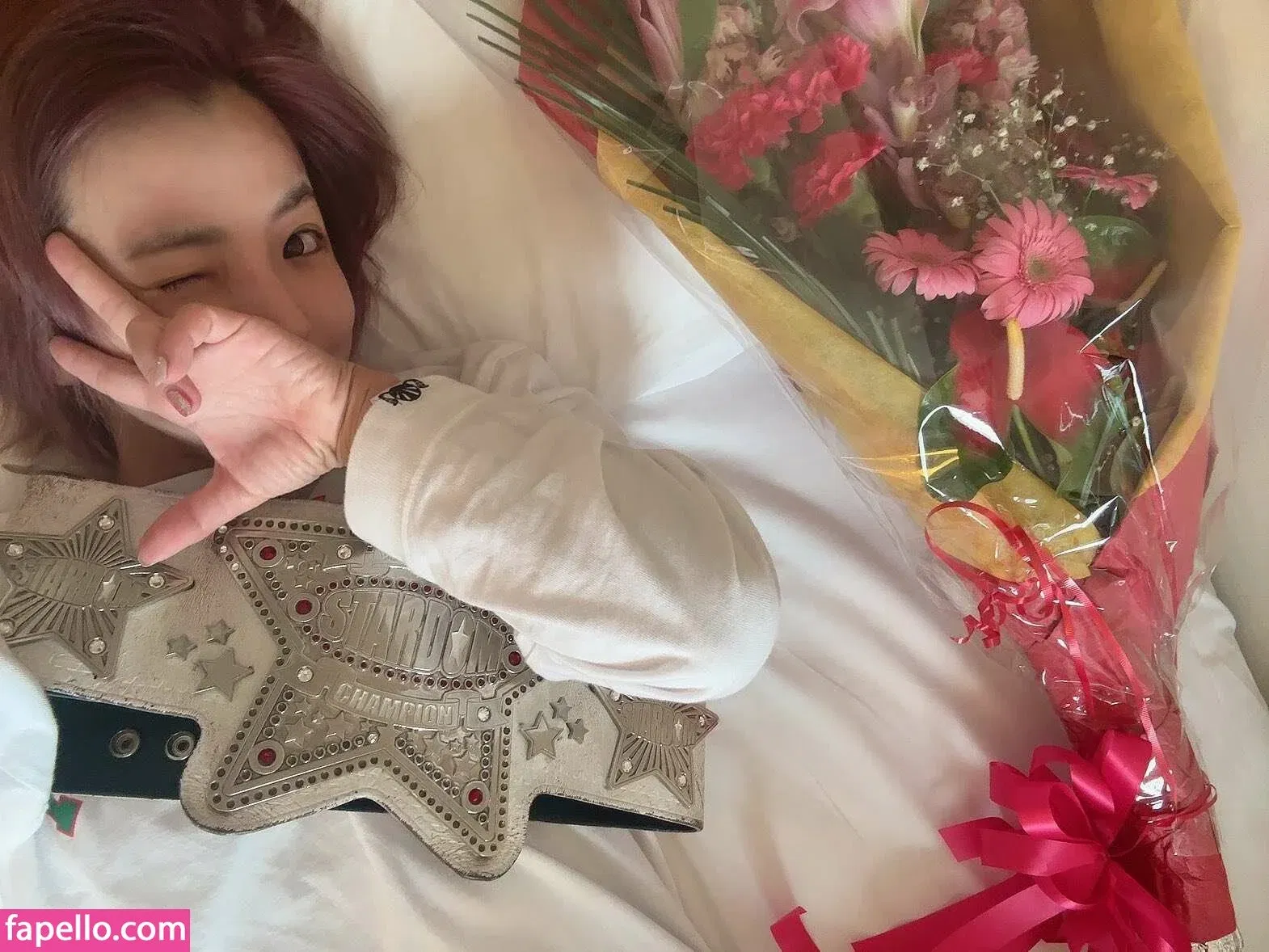 Mina Shirakawa Onlyfans Photo Gallery 