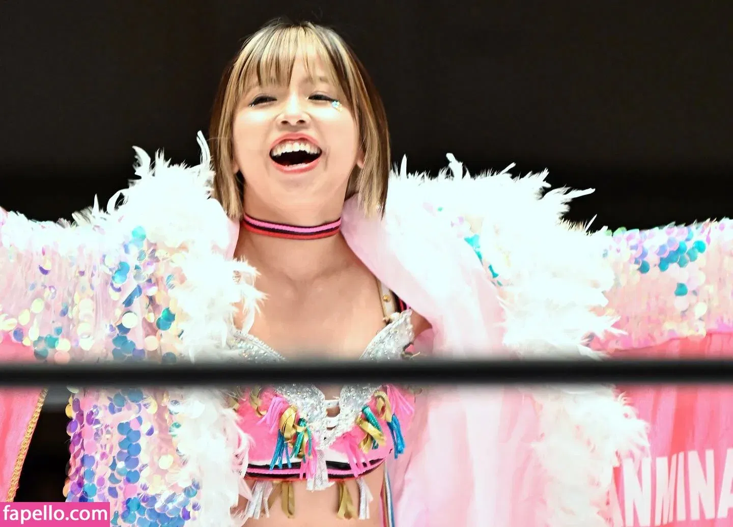 Mina Shirakawa Onlyfans Photo Gallery 