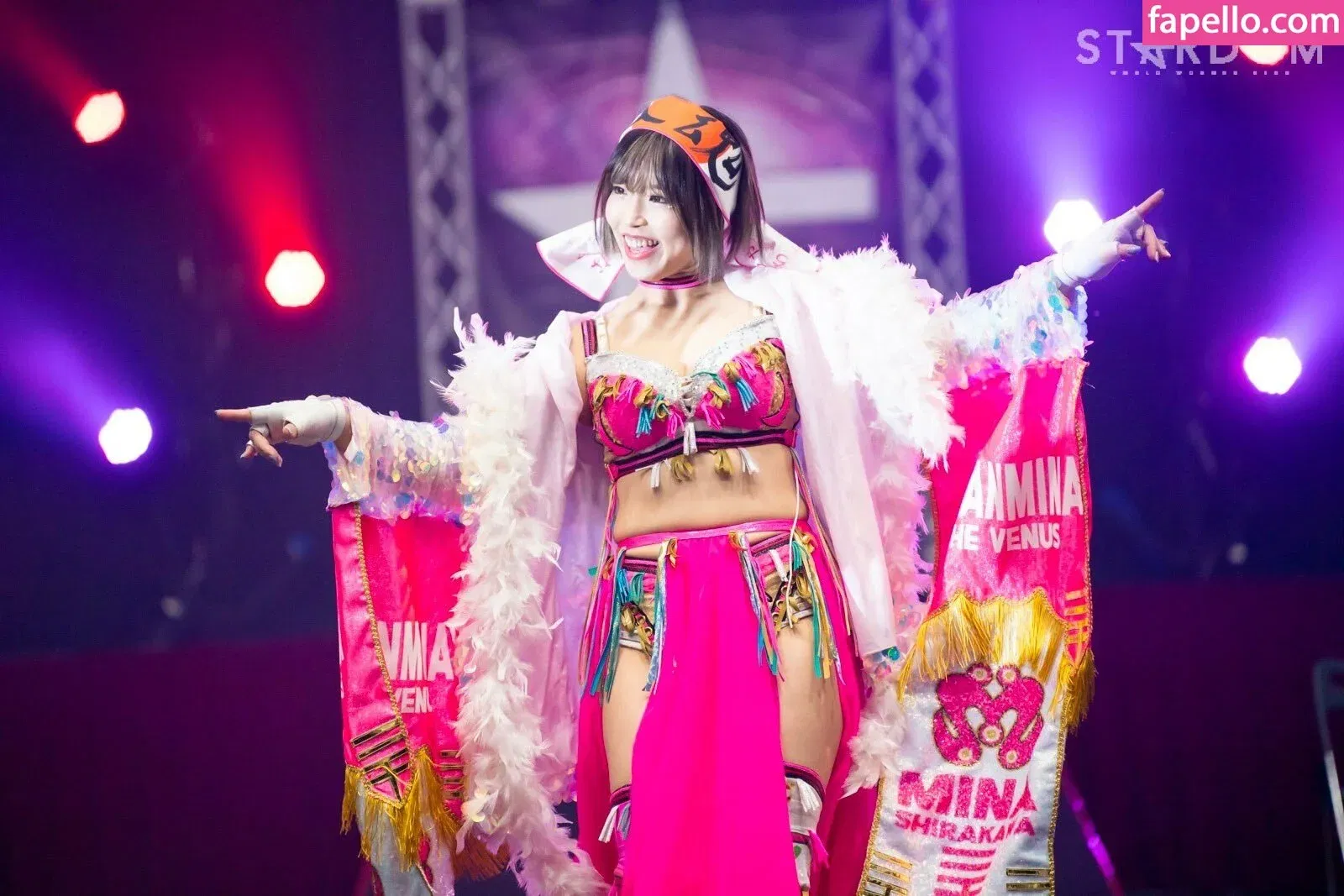 Mina Shirakawa Onlyfans Photo Gallery 