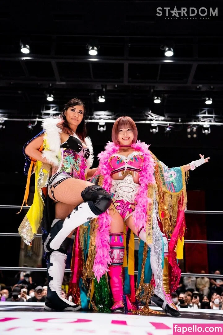 Mina Shirakawa Onlyfans Photo Gallery 