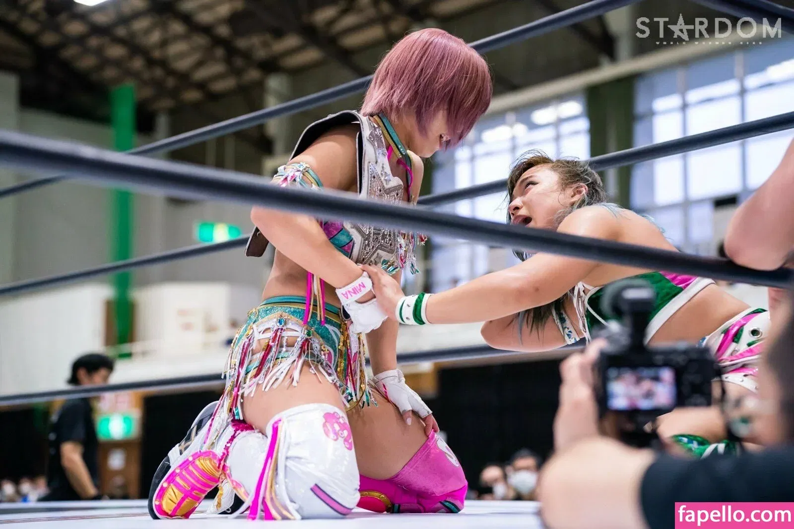 Mina Shirakawa Onlyfans Photo Gallery 