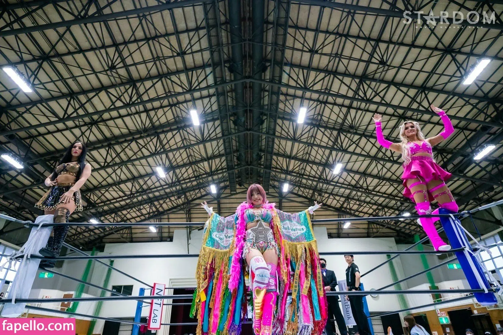 Mina Shirakawa Onlyfans Photo Gallery 