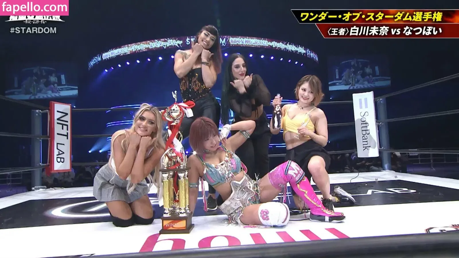 Mina Shirakawa Onlyfans Photo Gallery 