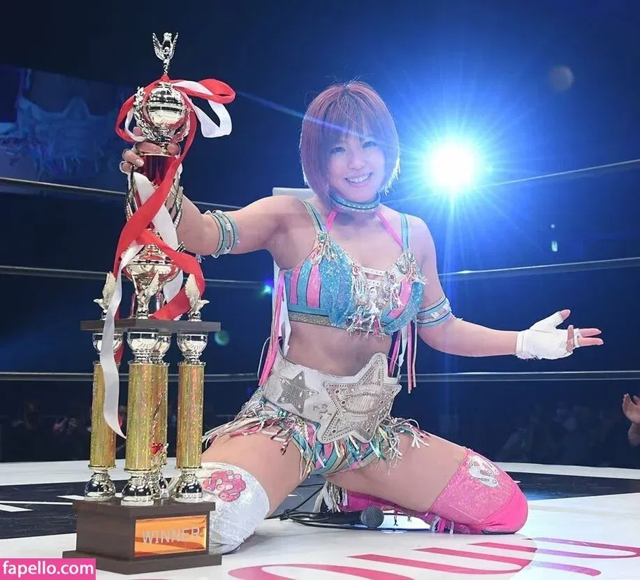 Mina Shirakawa Onlyfans Photo Gallery 