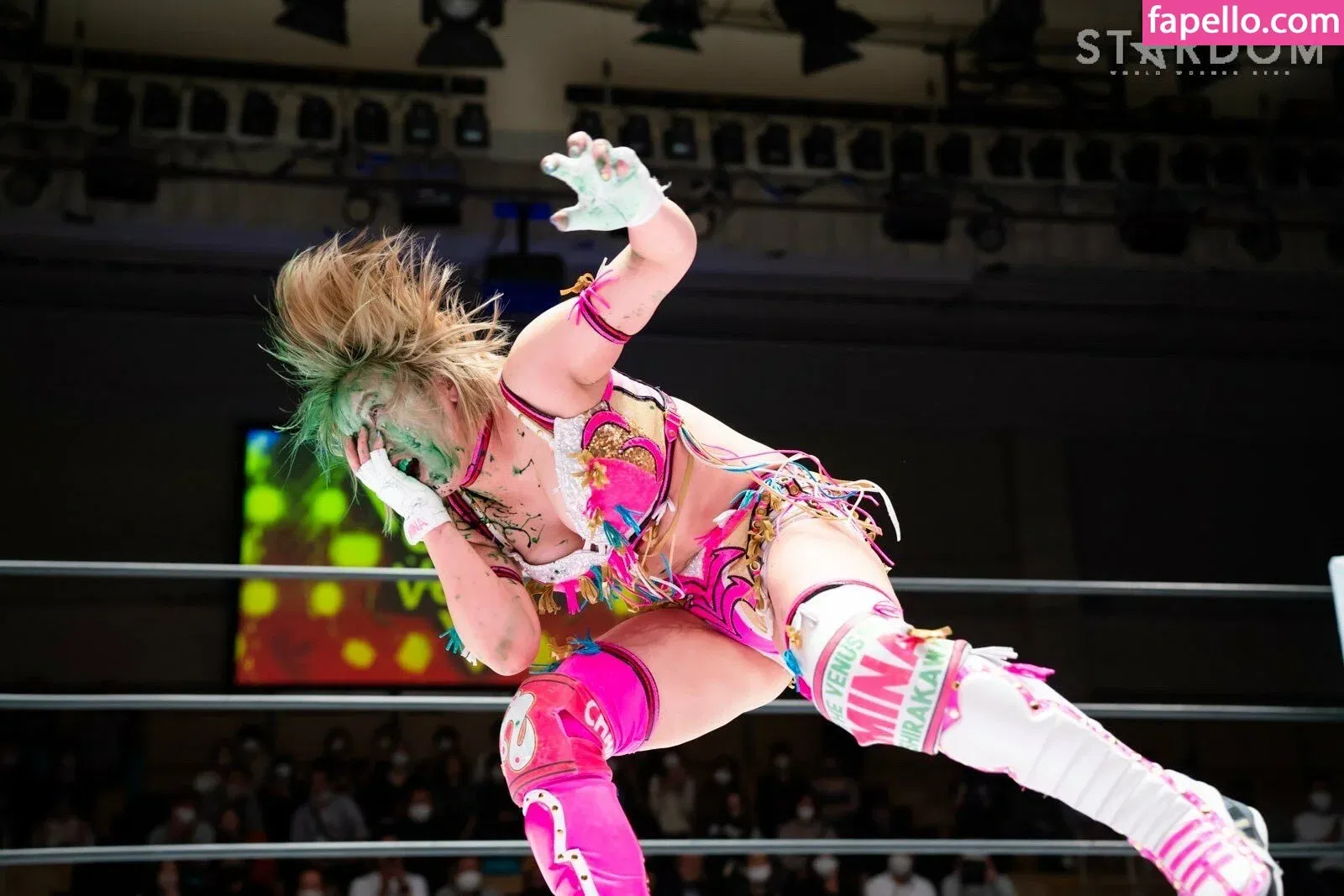 Mina Shirakawa Onlyfans Photo Gallery 