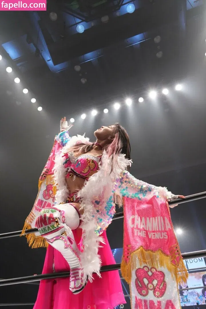 Mina Shirakawa Onlyfans Photo Gallery 