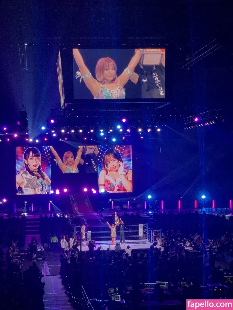 Mina Shirakawa Onlyfans Photo Gallery 