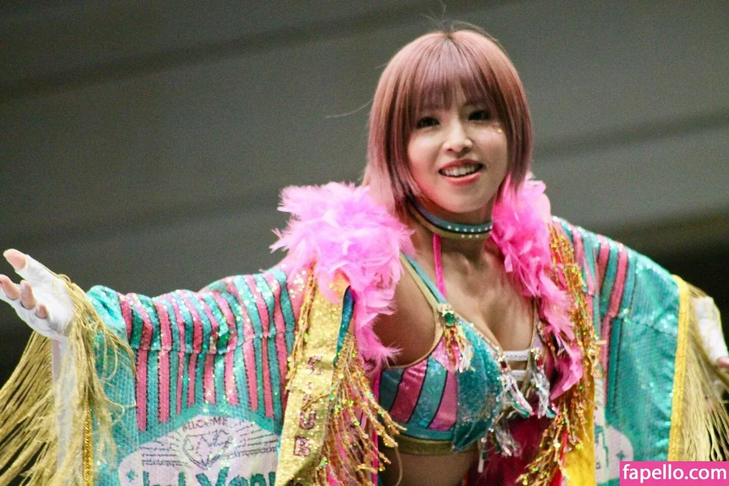 Mina Shirakawa Onlyfans Photo Gallery 