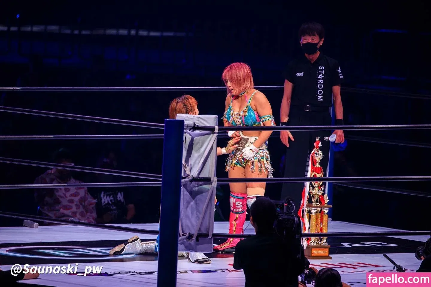 Mina Shirakawa Onlyfans Photo Gallery 